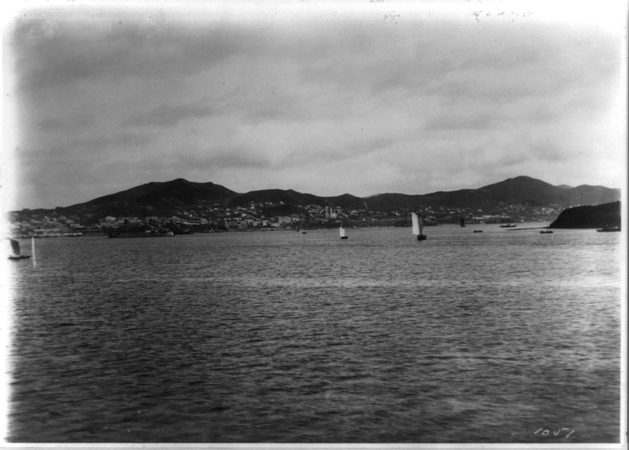 Vladivostok - panoramaudsigt fra havnen af William Henry Jackson