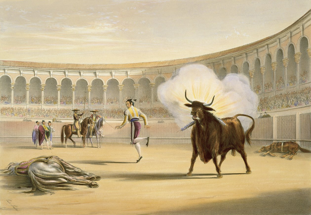 Ildflag, 1865 af William Henry Lake Price