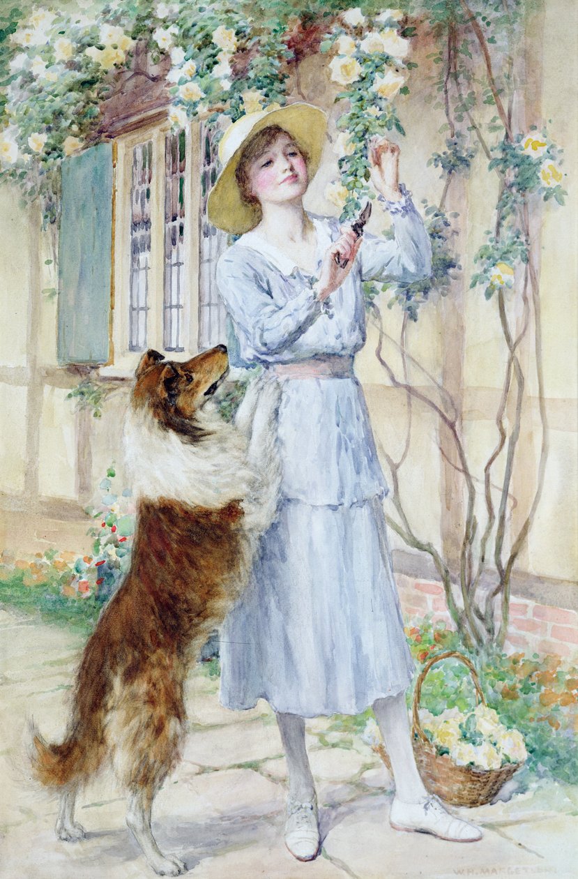 Plukker roser (akvarel på papir) af William Henry Margetson
