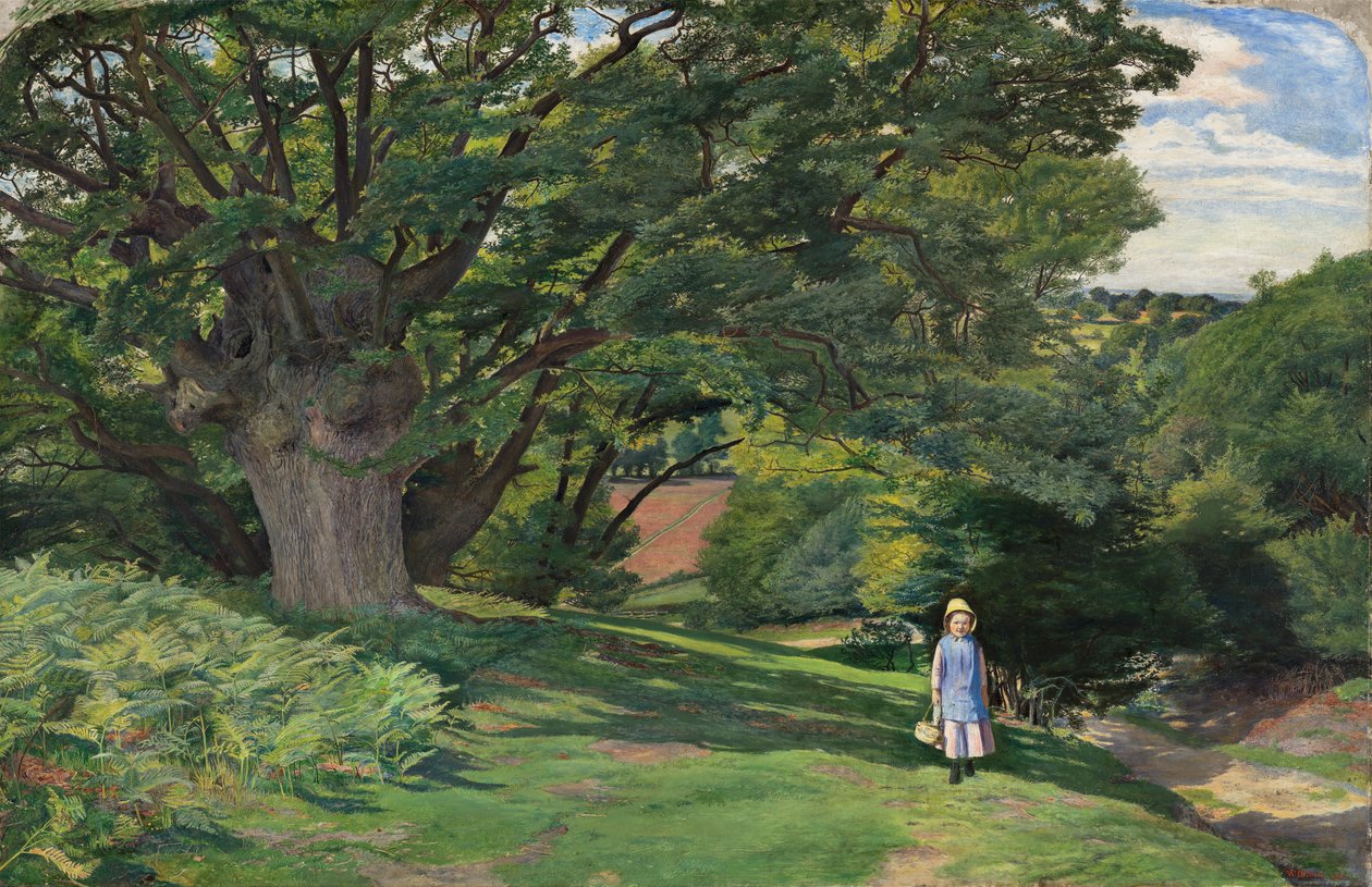 Hayes Common af William Henry Millais