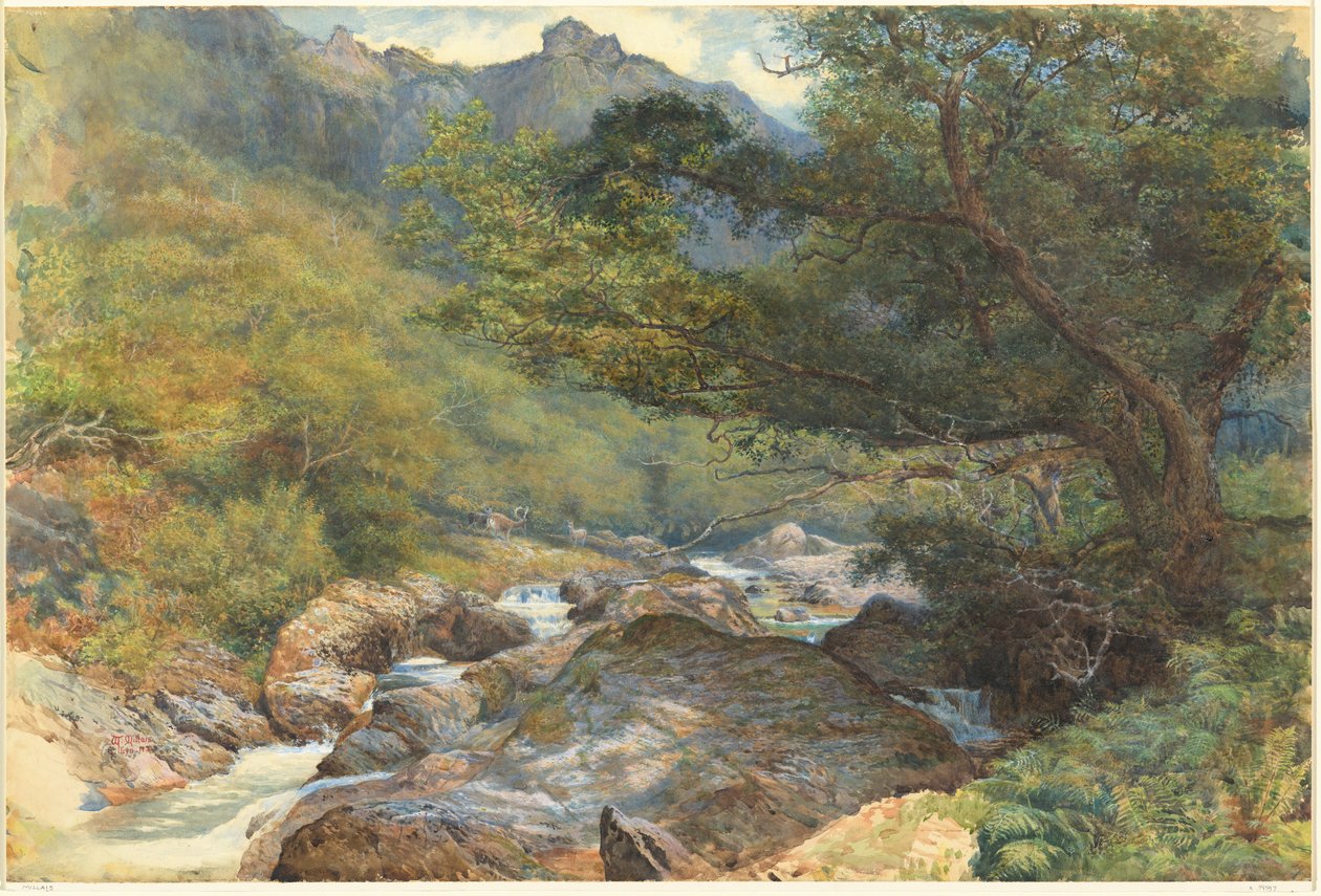 På East Lyn, North Devon af William Henry Millais
