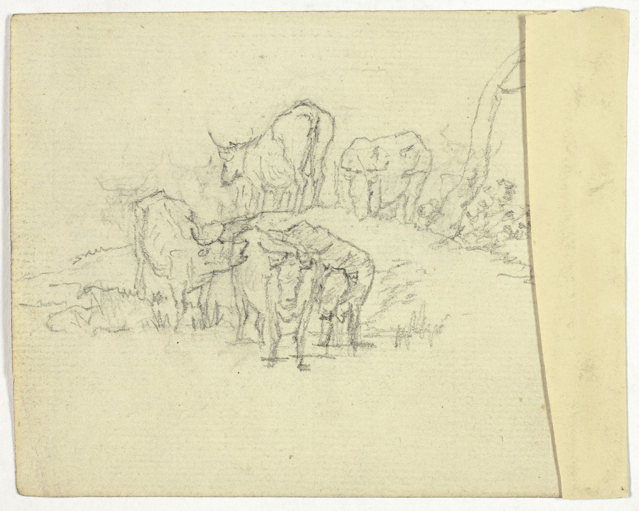 Kvæg (recto); Charlatanen (verso) af William Henry Pyne
