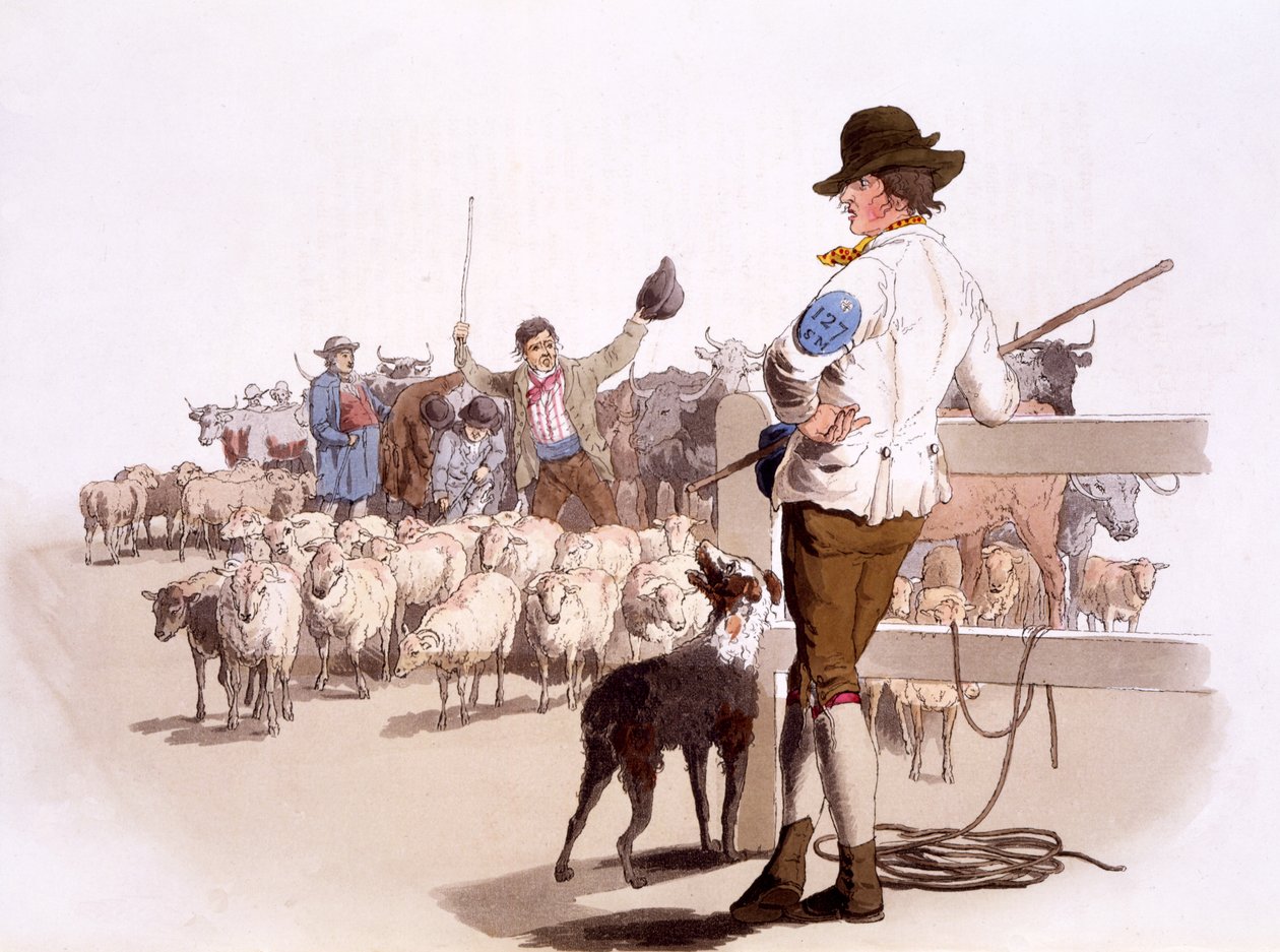 Hyrder af får og kvæg, fra The Costumes of Great Britain, pub. Af Henry Miller, 1805 (håndfarvet tryk) af William Henry Pyne