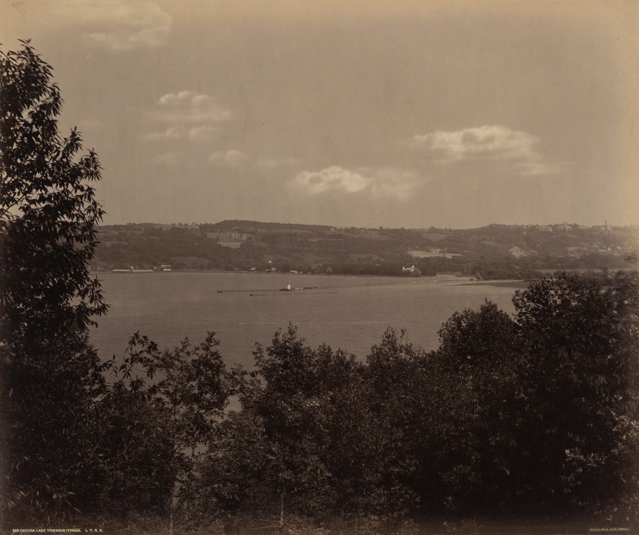 Cayuga Lake mod Ithaca, ca. 1895 (foto) af William Herman Rau