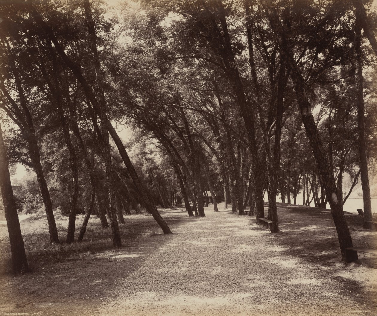 Picnicplads, ca. 1895 (foto) af William Herman Rau