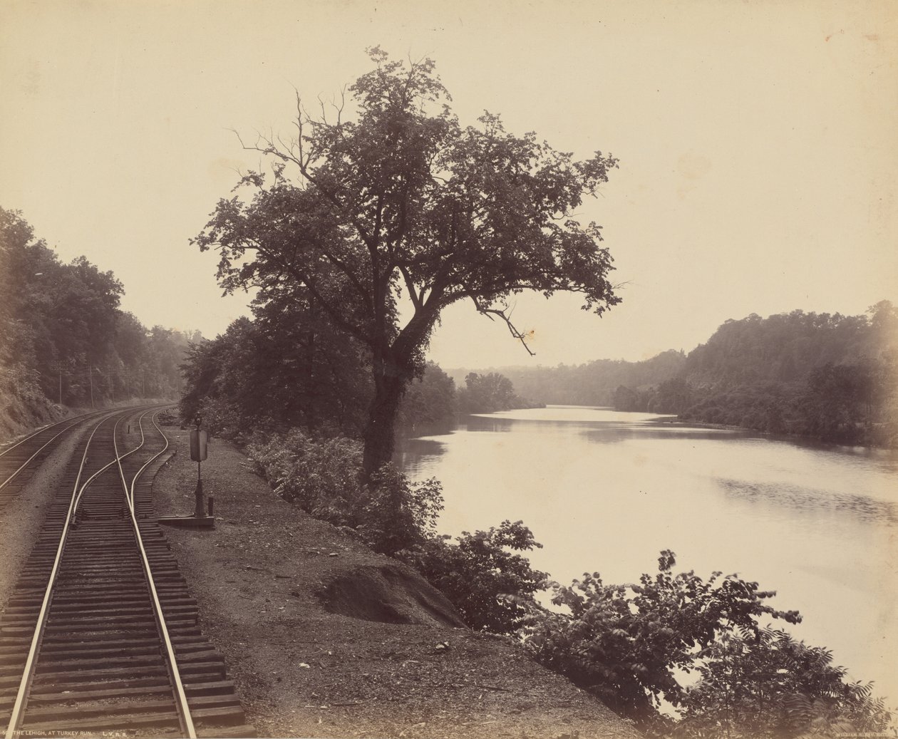 Lehigh, ved Turkey Run, ca. 1895 (foto) af William Herman Rau