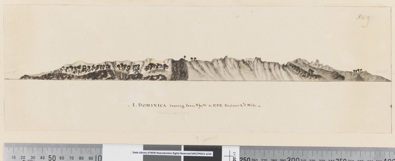 Side 25a/c 1. Dominica, der peger fra N ved V til ØSØ på 1 1/2 miles af William Hodges