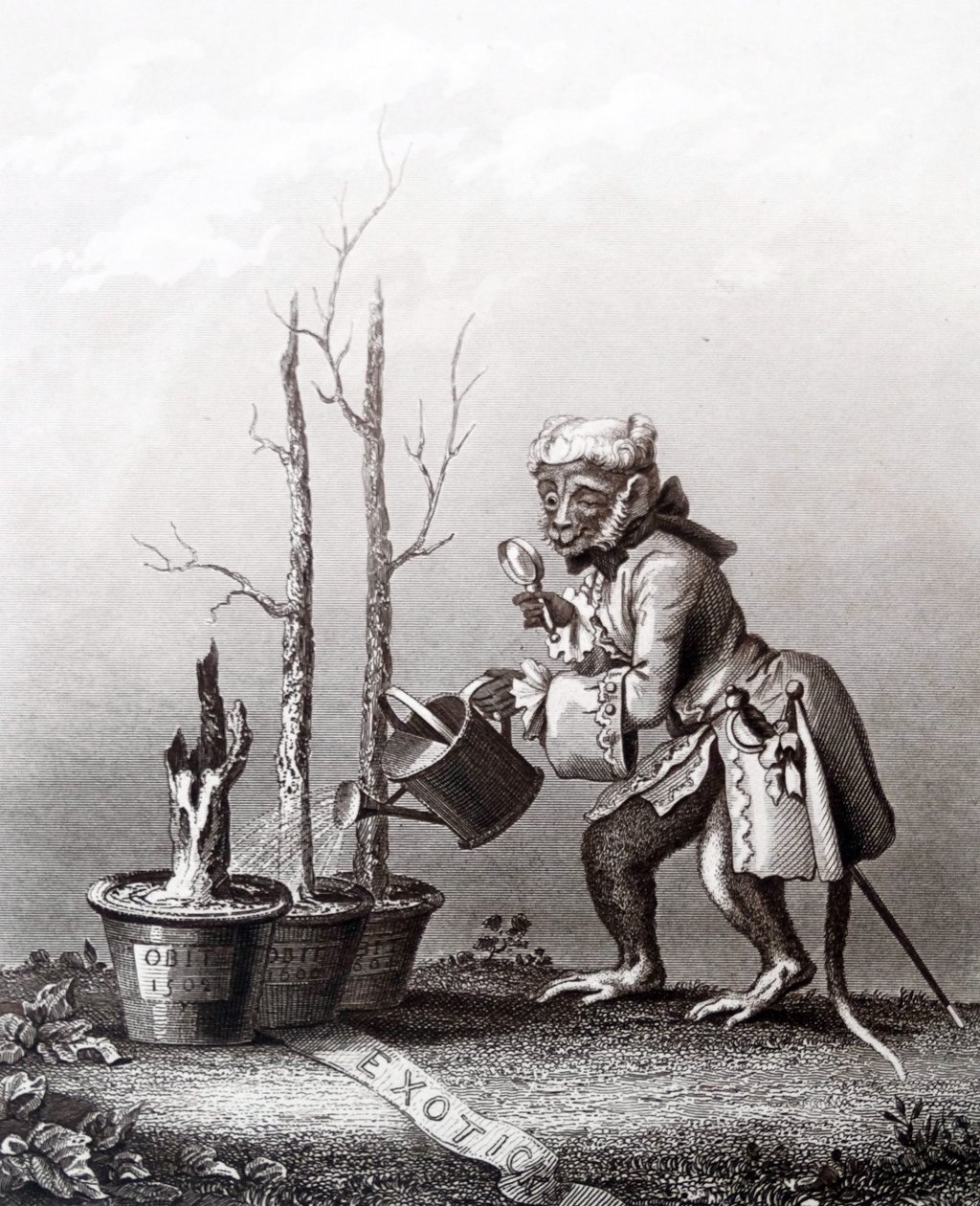 Halestykke til kunstnerens katalog af William Hogarth