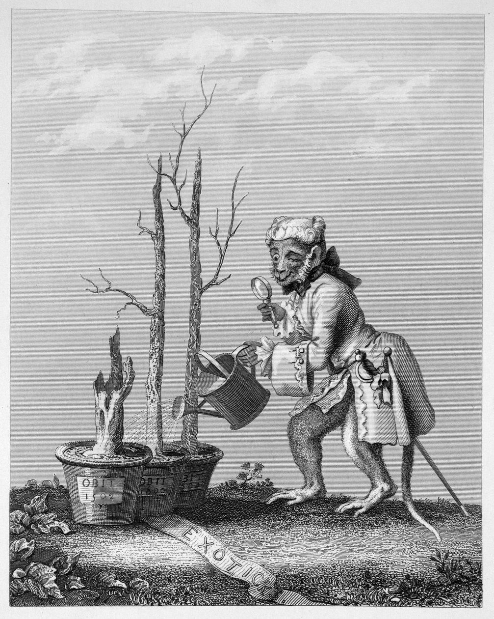 Hale, stykke til kunstnerkataloget, 1761 af William Hogarth