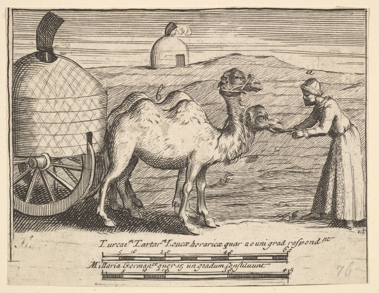 To Dromedarer Aubry de La Mottrayes rejser gennem Europa, Asien og ind i Del ..., 1723-24. af William Hogarth