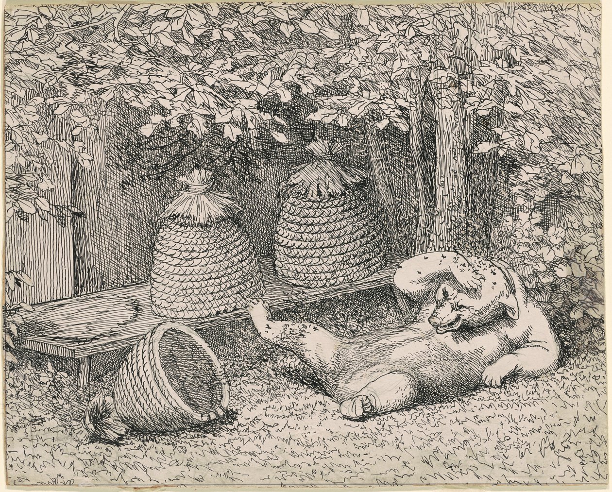 Bjørn stukket af bier af William Holbrook Beard