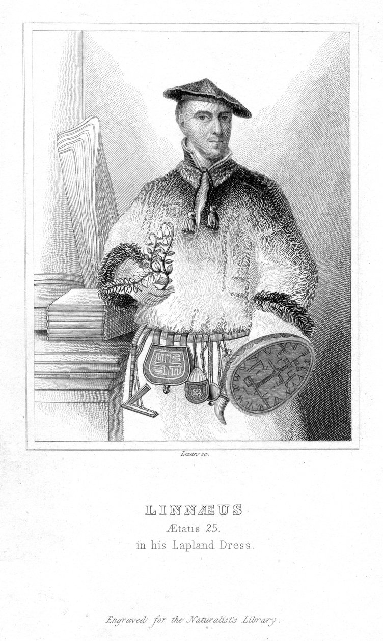Carolus Linnaeus, svensk naturforsker, 1732 begyndelsen af det 19. århundrede af William Home Lizars