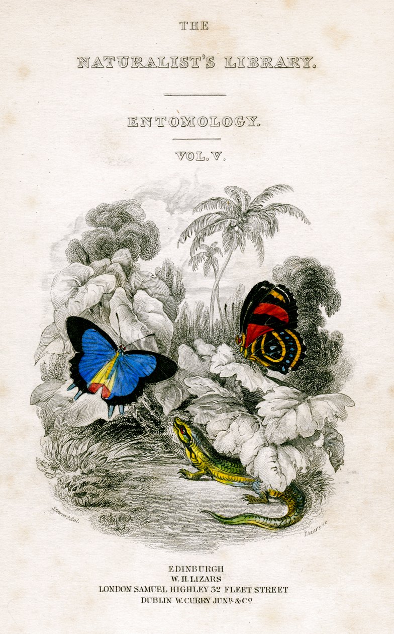 The Naturalists Library, Entomology, Vol V, Butterflies, c1833-1865. af William Home Lizars