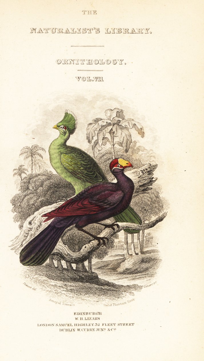 Titelblad med vignet af Guinea turaco, Tauraco persa buffoni og violet turaco, Musophaga violacea af William Home Lizars