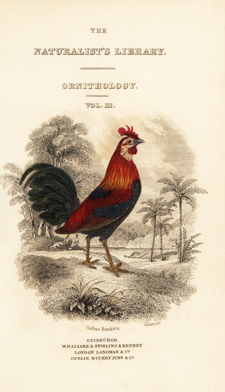 Titelblad med vignet af rød junglefugl (Javan), Gallus gallus bankiva af William Home Lizars