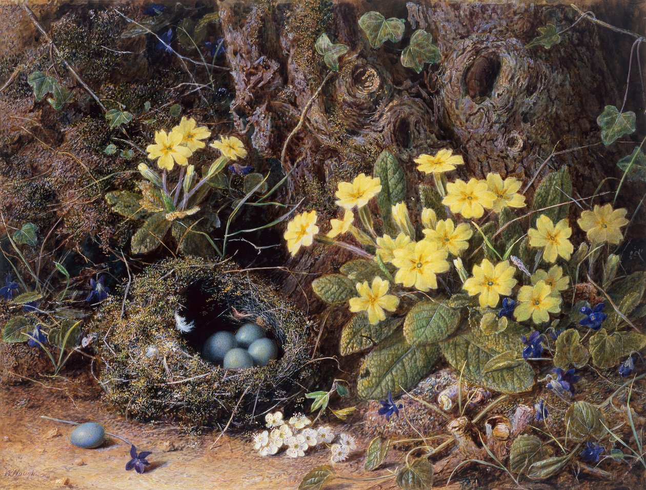 Stilleben med fuglerede, primula og violer (blyant og akvarel) af William Hough