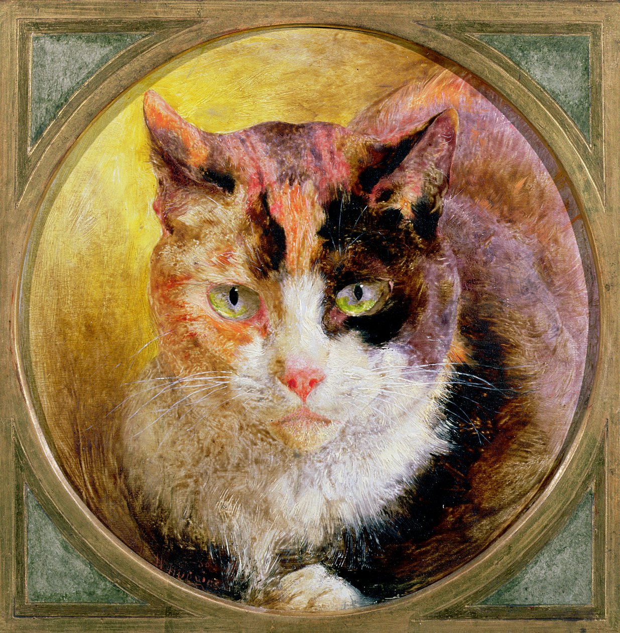 Et hovedstudie af en skildpaddeskat, 1866 af William Huggins