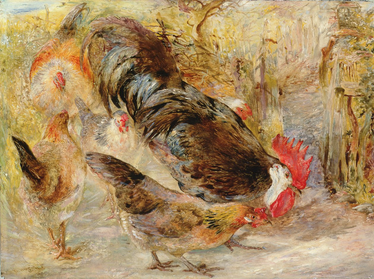 Barn Door Fowl (Rhode Island Reds), 1860 af William Huggins
