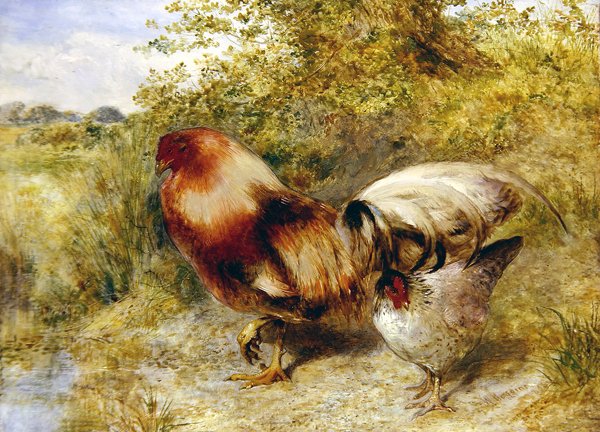 Fjerkræ i et Landskab af William Huggins