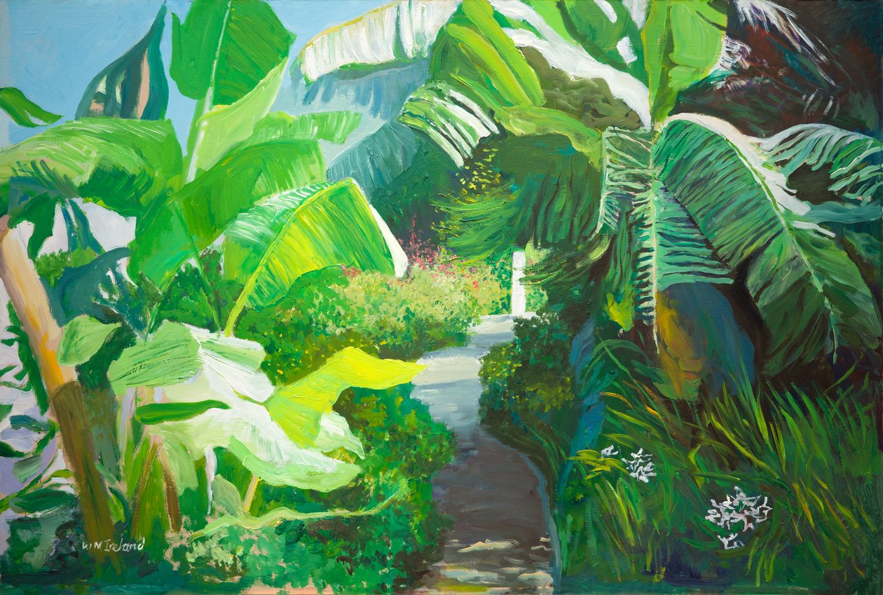 Morne Rouge, Grenada (olie om bord) af William Ireland