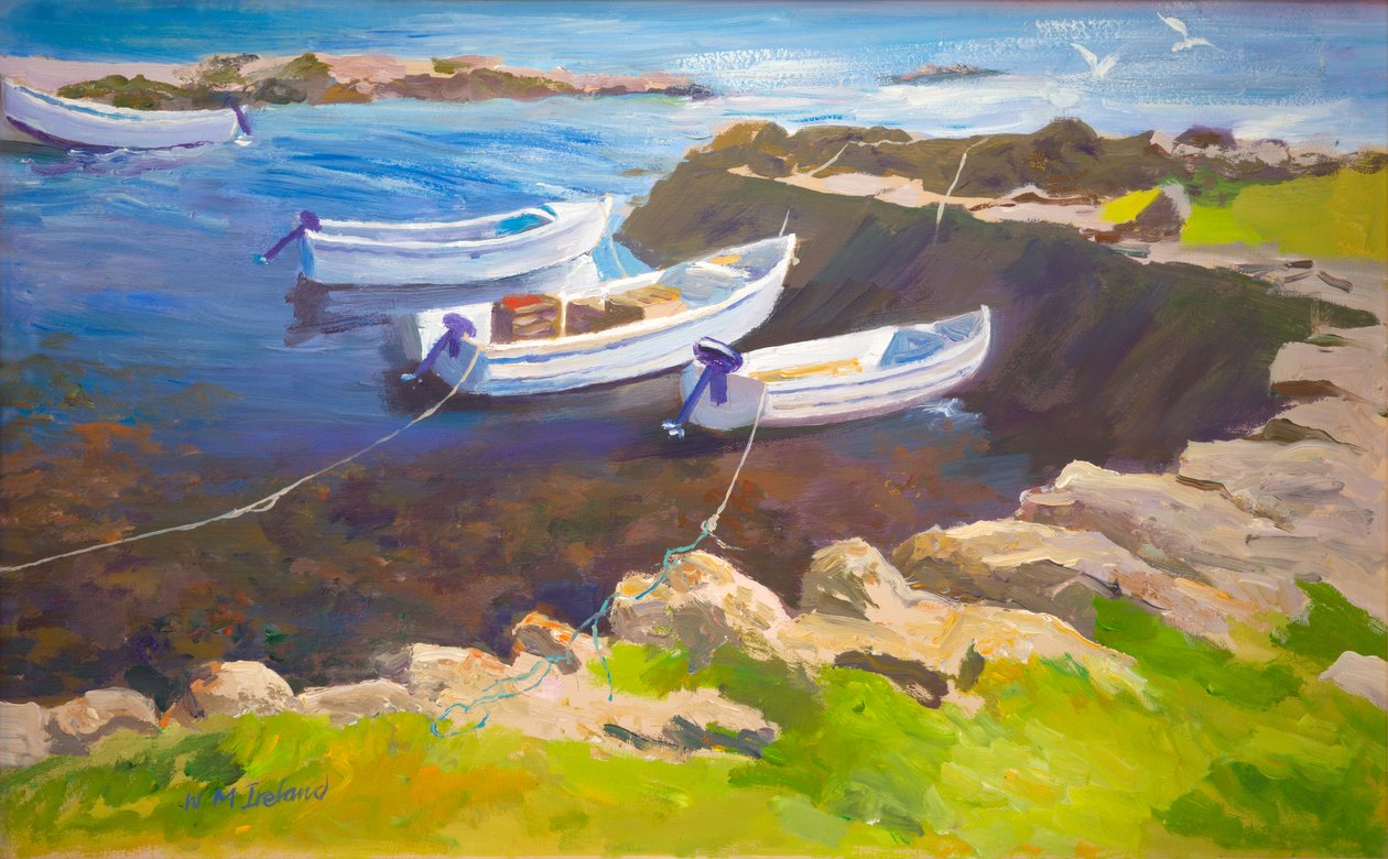 Rocky havn (olie om bord) af William Ireland