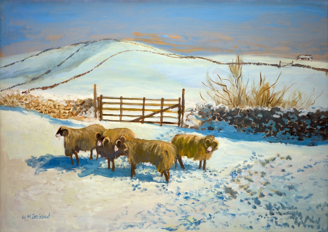 Sne i Yorkshire Dales (olie om bord) af William Ireland