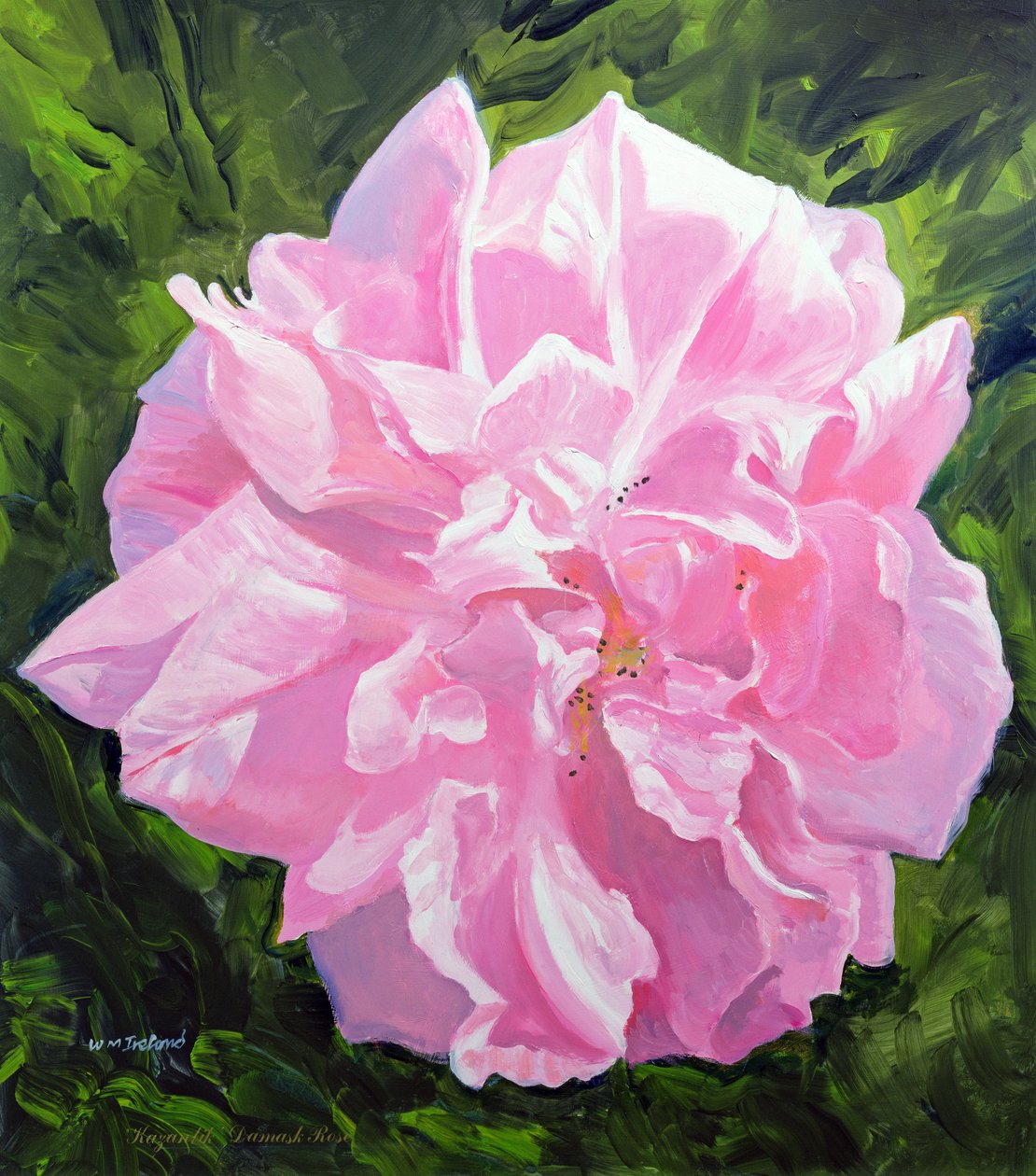 victoriansk rose af William Ireland