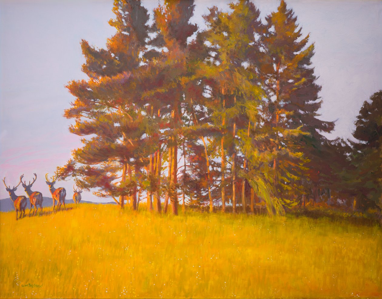 Udsigt fra kabinen (olie om bord) af William Ireland