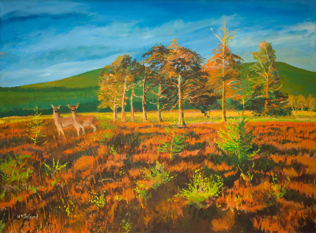 ingen. Aviemore, Skotland (olie om bord) af William Ireland