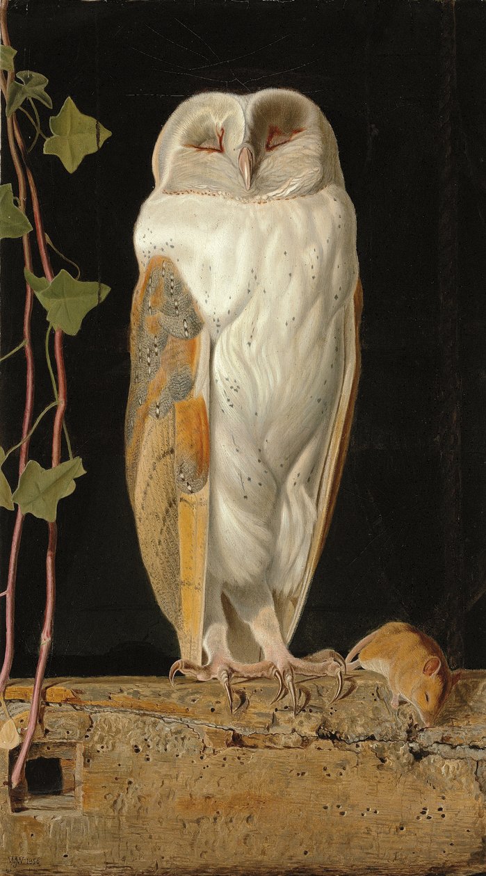 Den hvide ugle: "Alene og varmer sine fem forstande, sidder den hvide ugle i klokketårnet", 1856 af William J. Webbe