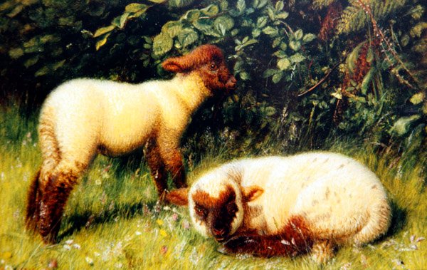 Får, ca. 1860 (olie om bord) af William J. Webbe or Webb