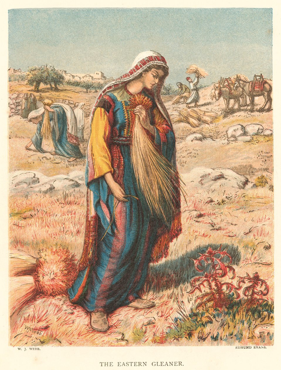 The Eastern Gleaner (farvelagt kobberstik) af William J. Webbe or Webb