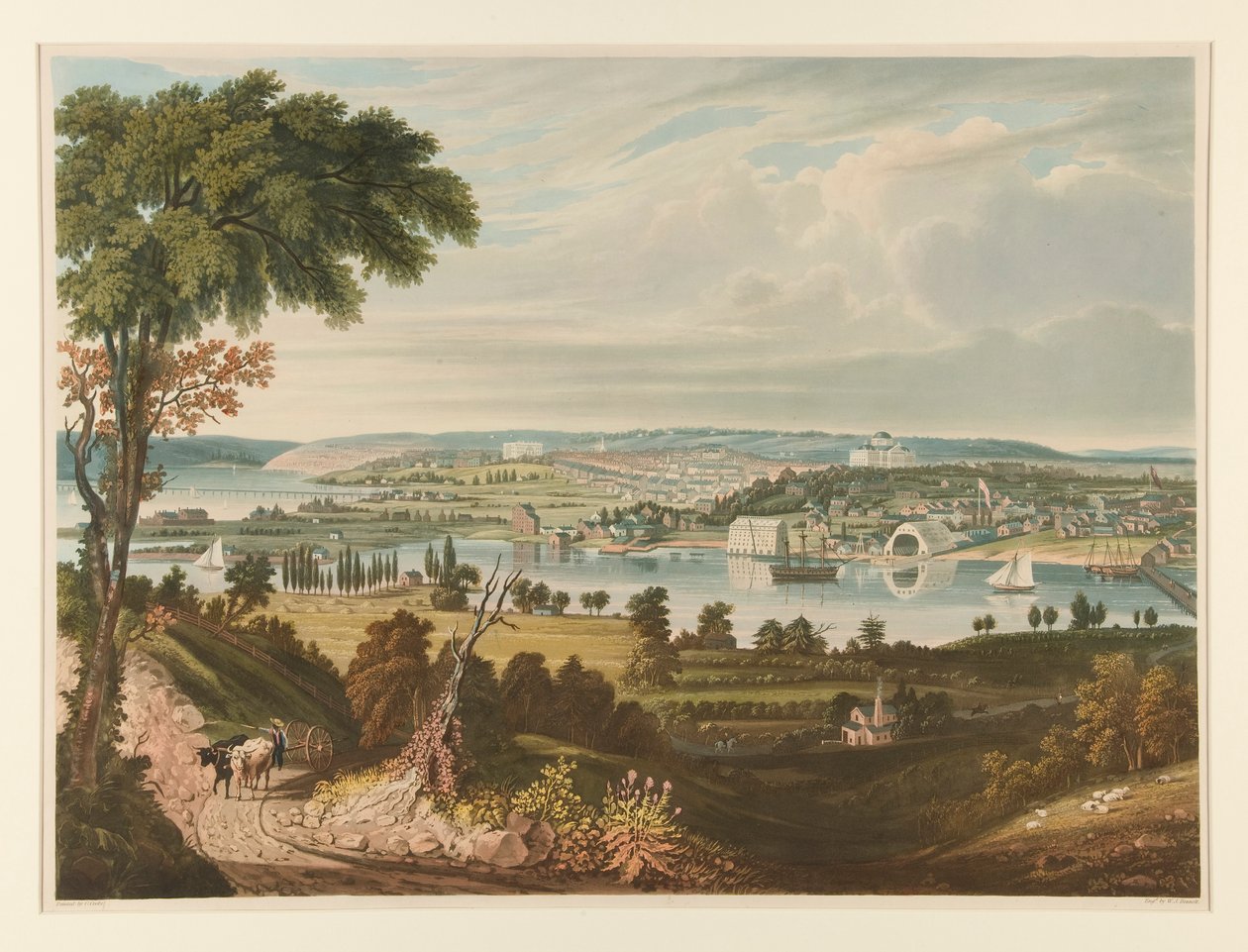 City of Washington fra Beyond the Navy Yard af William James Bennett