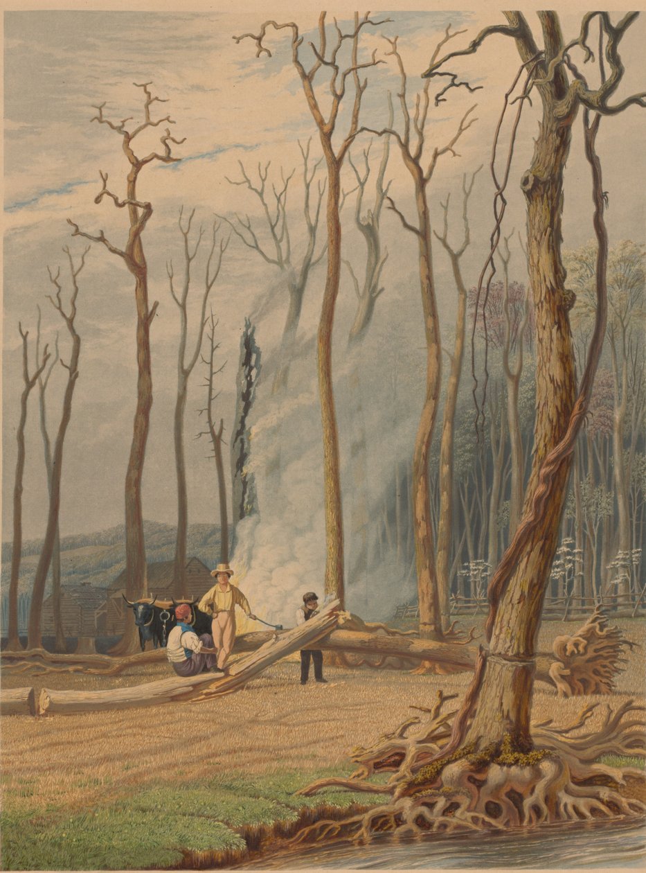 Forår - brændende faldne træer i en omgjord lysning. Vestlig scene, 1841. af William James Bennett