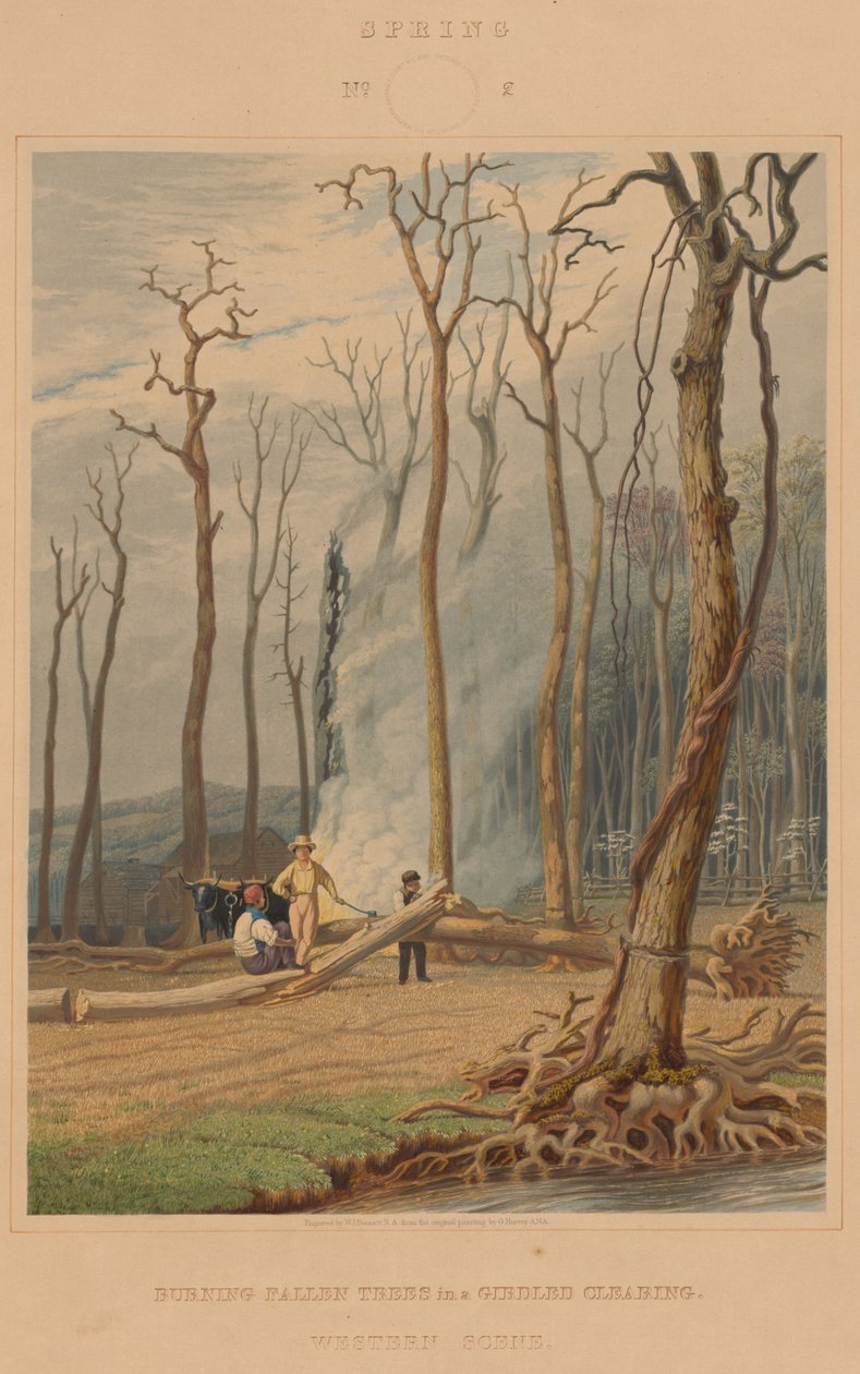 Forår - brændende faldne træer i en omgjord lysning. Western Scene af William James Bennett after George Harvey