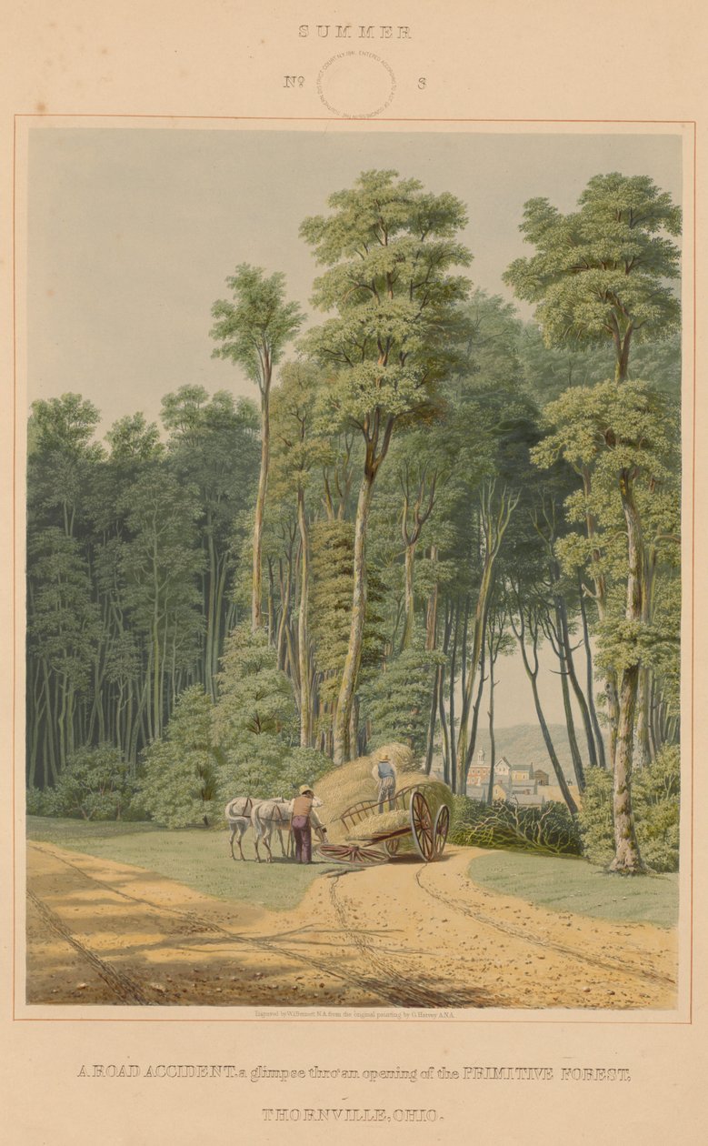 Sommer - et trafikuheld. Et glimt gennem en åbning af Urskoven. Thornville, Ohio af William James Bennett after George Harvey