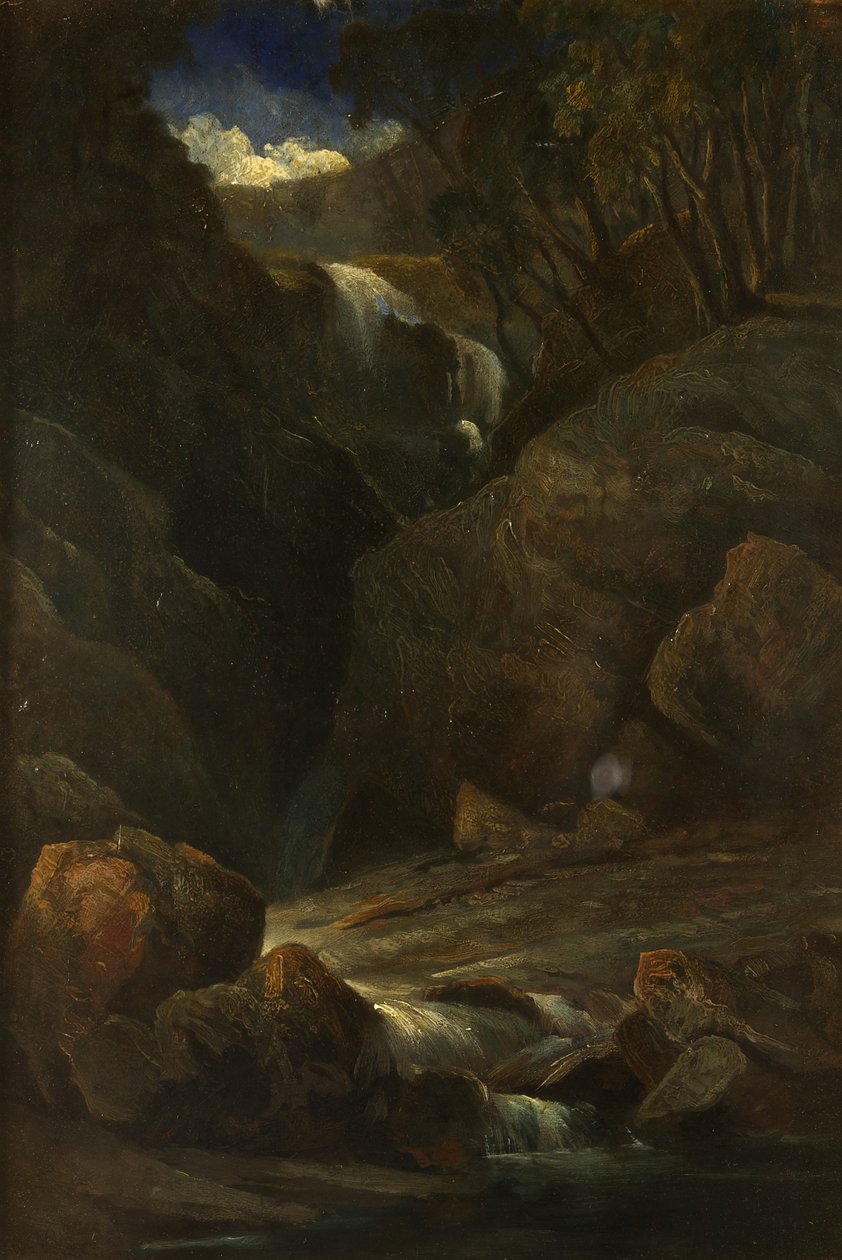 Et vandfald af William James Muller