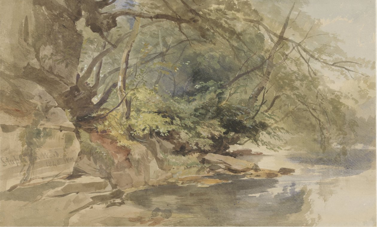 Ansigt i Stapleton Wood, nær Bristol af William James Muller