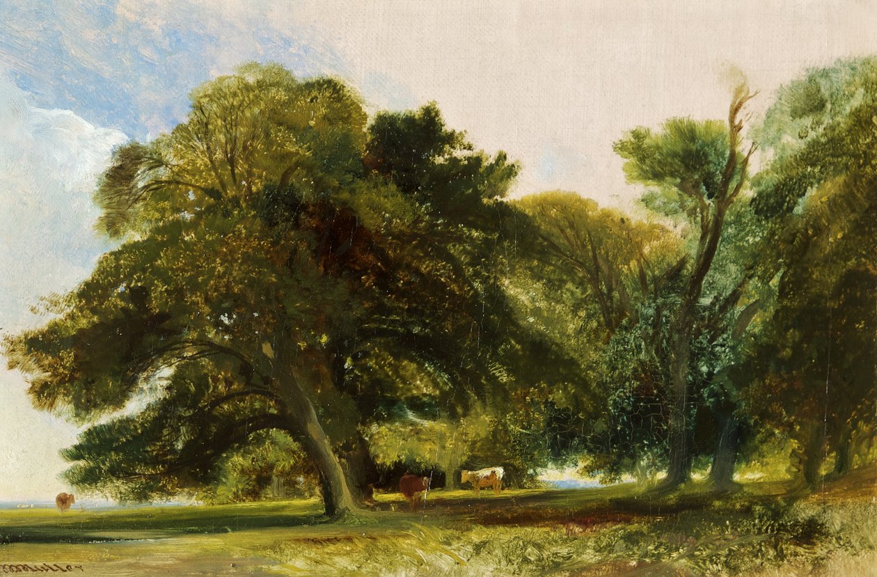 Kingsweston Park - Sketch, ca. 1833 (olie på lærred) af William James Muller