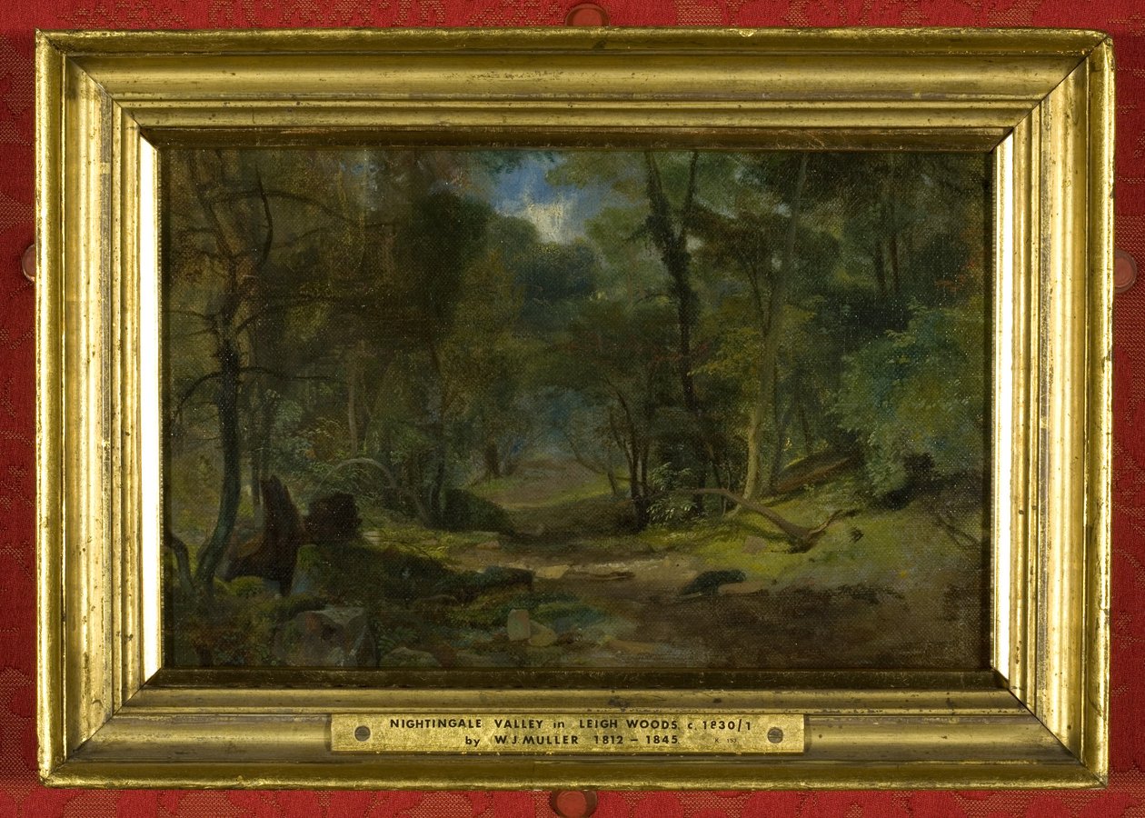 Nightingale Valley, ca. 1831 (olie på lærred) af William James Muller