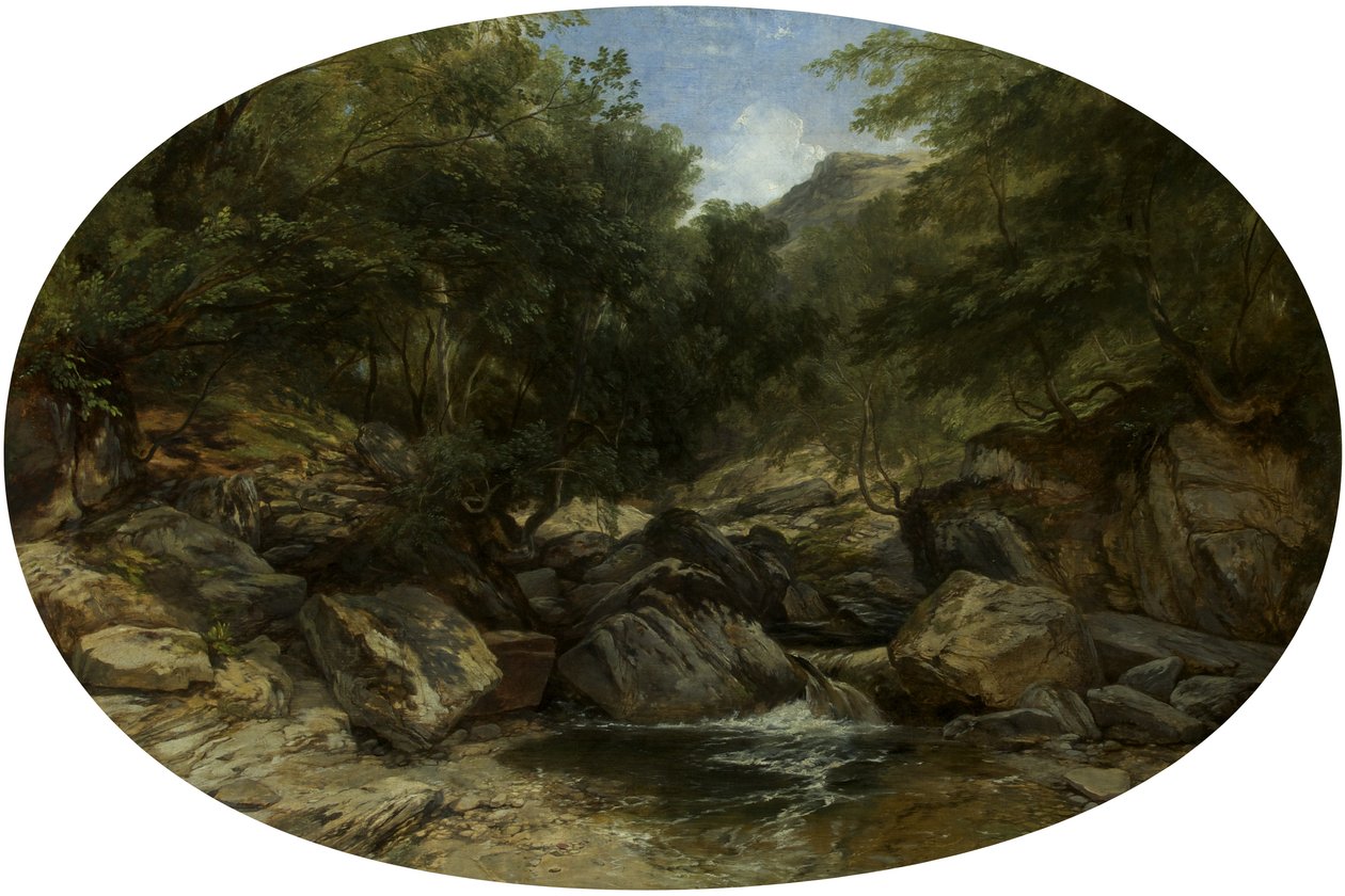 Rocky Stream ved Lynmouth af William James Muller