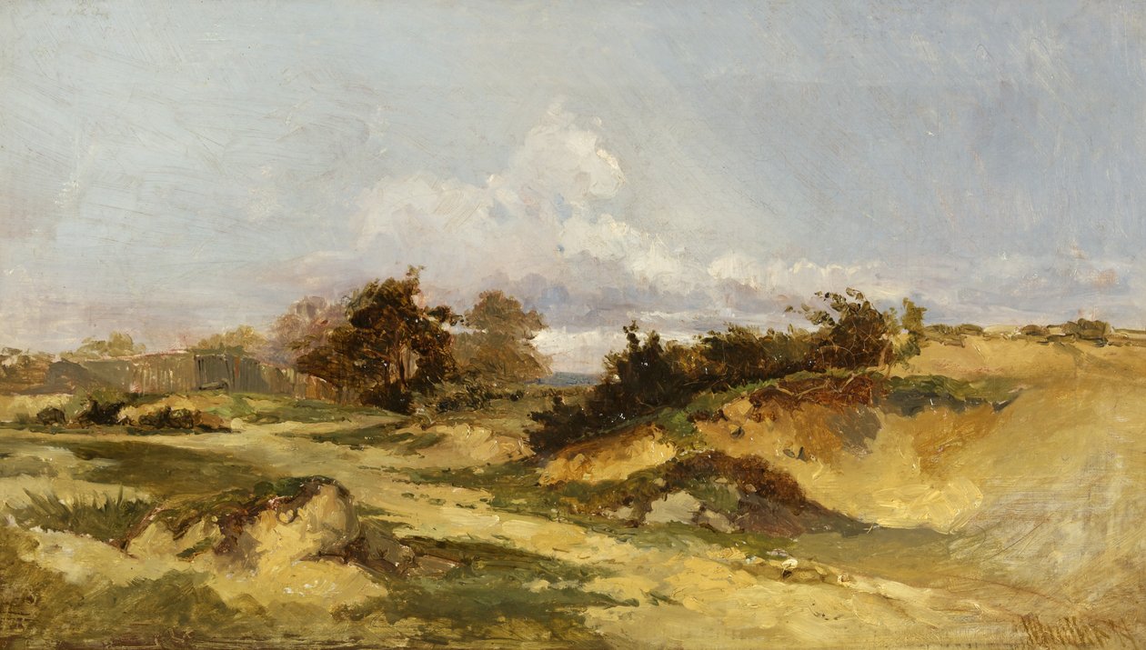 Sandgruber, Hampstead Heath af William James Muller