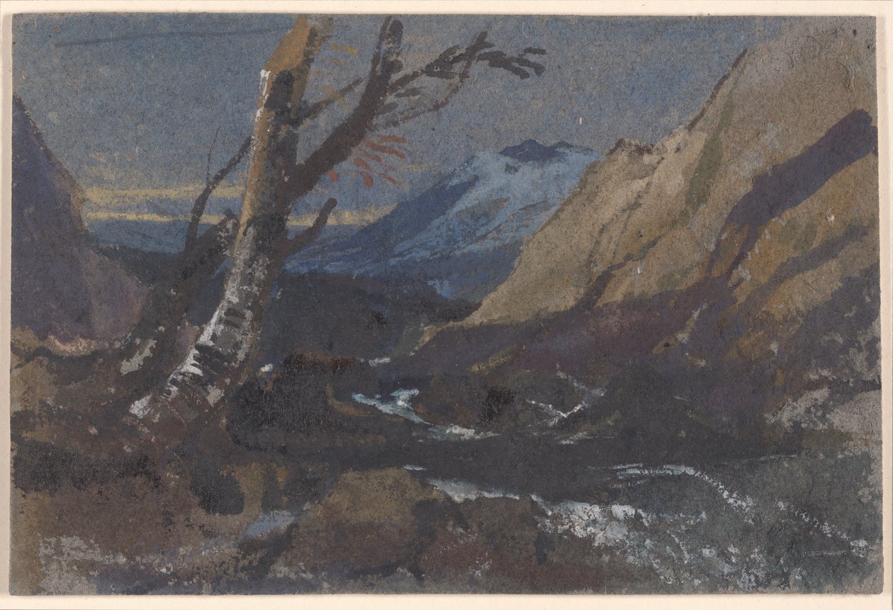 Studie af træer ved en bjergbæk af William James Muller