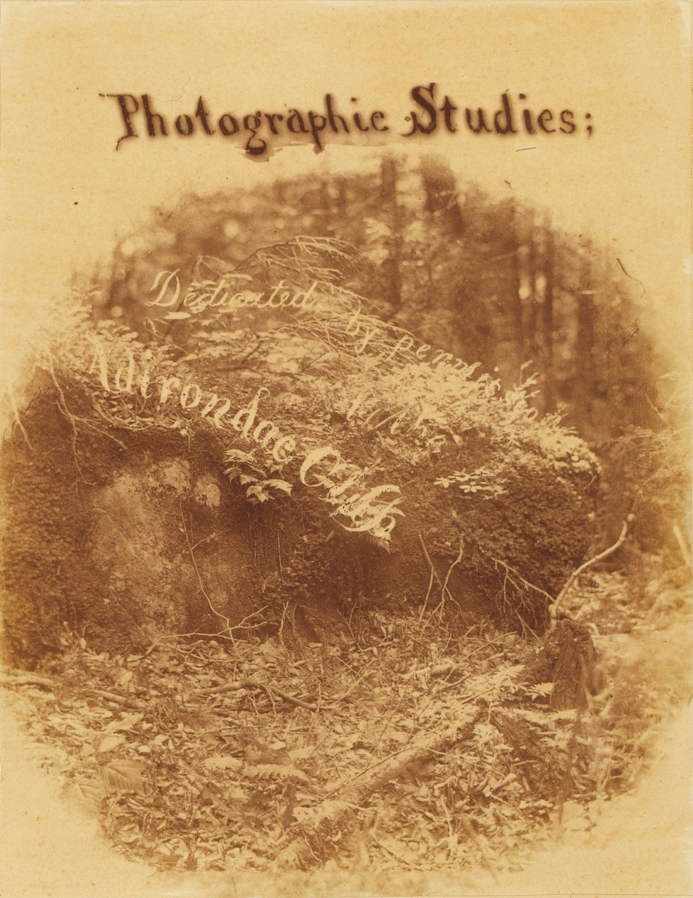 Uden titel, fra porteføljen The Forest: Adirondack-skoven af William James Stillman