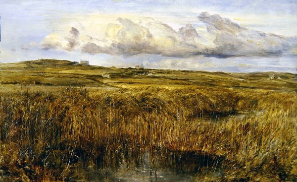Rhoscolyn, Anglesey (olie på tavle) af William Joseph J.C. Bond