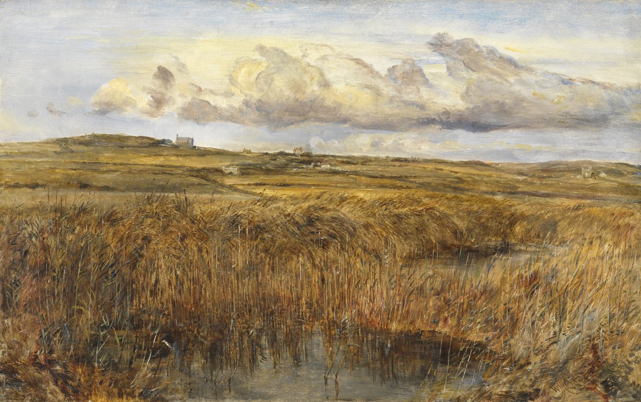 Rhoscolyn, Anglesey af William Joseph J.C. Bond
