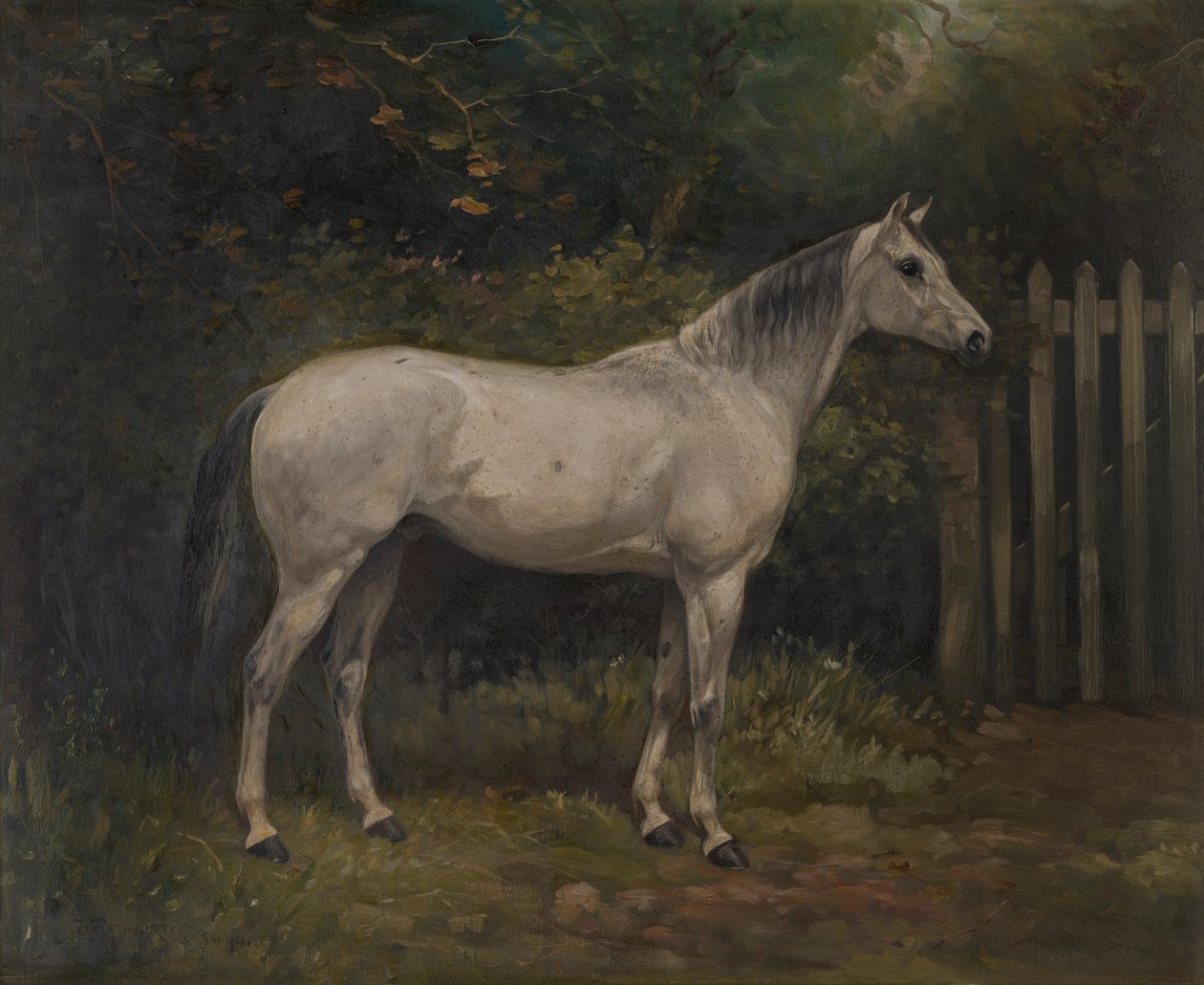 Pickles: en Basuto pony, ca. 1904 (olie på lærred) af William Josiah Redworth