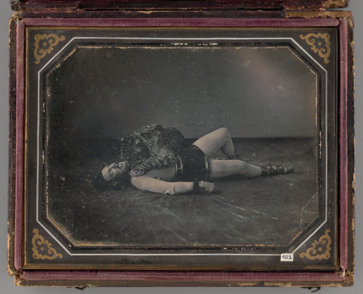 Uden titel portræt af vildtæmmeren Jacob Driesbach med Jaguar, 1850 af William Langenheim