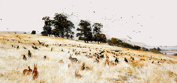 A Rookery, ca. 1889 (olie på lærred) af William Lionel Wyllie