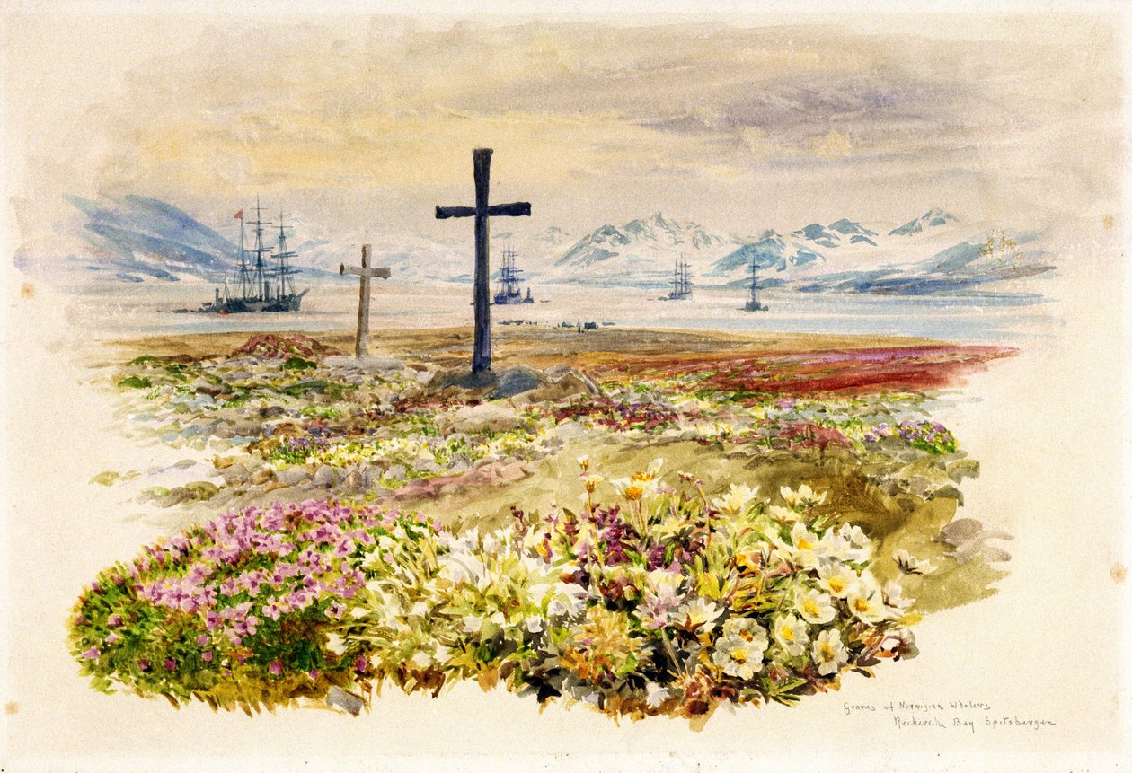 Search Bay (Research Bay, Tasmanien, Australien), to kors plantet i blomsterbede med skibe i det fjerne. Akvarel af William Lionel Wyllie